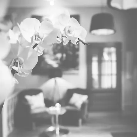 Hotel Bellini 3*