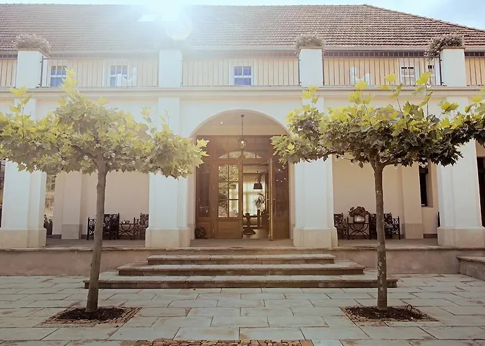 Bellini 古克斯哈根