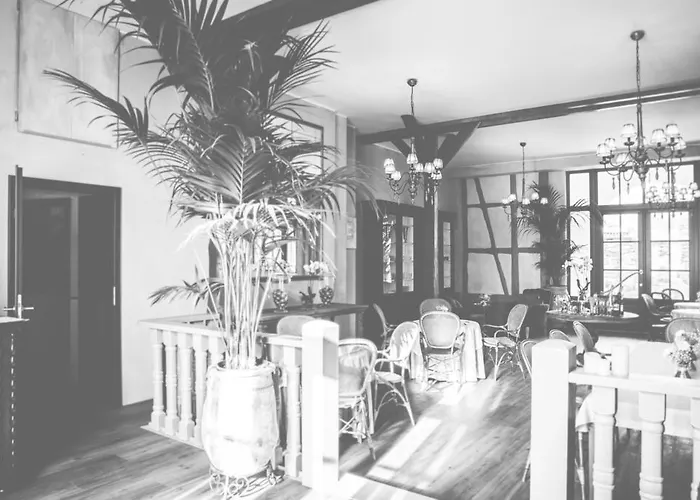 Bellini 古克斯哈根